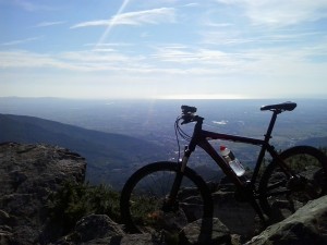 manutenzione bicicletta