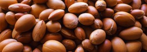 Noci-Argan_0