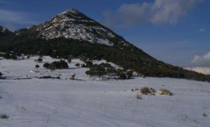 Monte Gonare