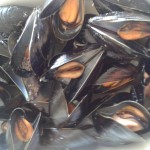 cozze