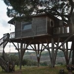 Casa sull'albero presso l'agriturismo "La Piantata" di Viterbo