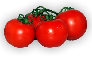 tomato-73447_640