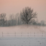 NEBBIA-300x178