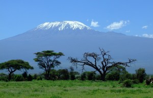 Parco Nazionale il Kilimagiaro (vulcano inattivo), in Tanzania