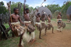 Danza della guerra per giovanni della tribu dei Zulu