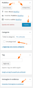 opzioni e salvataggio articolo su wordpress