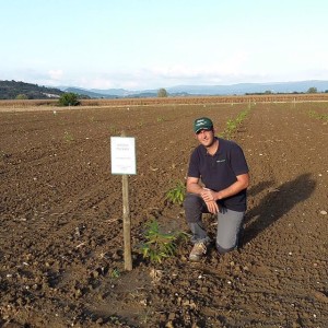 Primo imprenditore agricolo in Friuli Venezia Giulia a credere nella coltivazione del bambù gigante