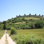 uno dei percorsi della Via Francigena