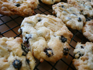 Blueberry, white chocolate and pine nut cookies