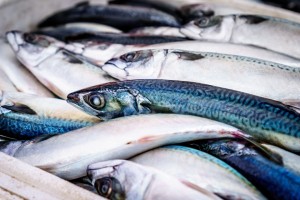 I prodotti ittici se mal conservati possono causare la sindrome sgombroide