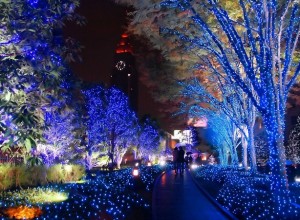 In Giappone, le luminarie vestono le città.