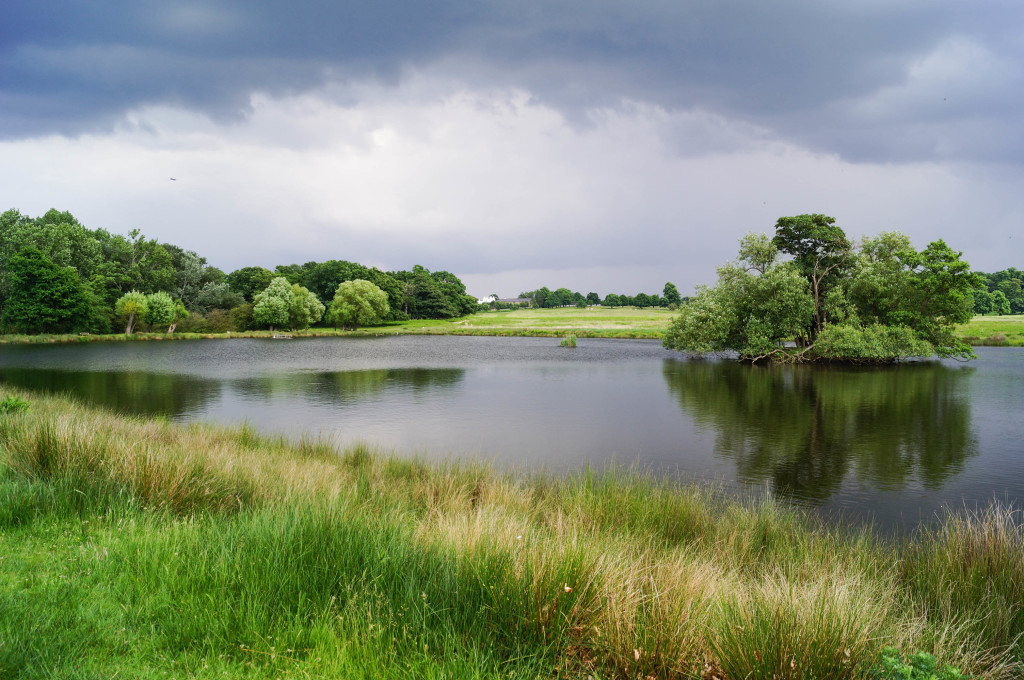 Richmond Park