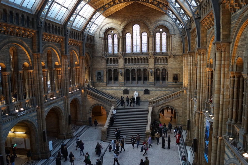 Interno del Natural History Museum